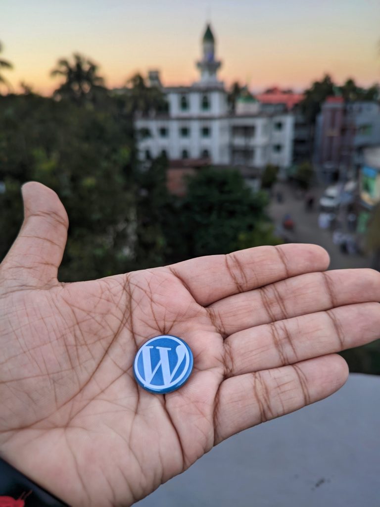 Wordpress Logo auf einem Button auf der Handfläche einer Person, im Hintergrund sieht man eine Stadt im Sonnenuntergang