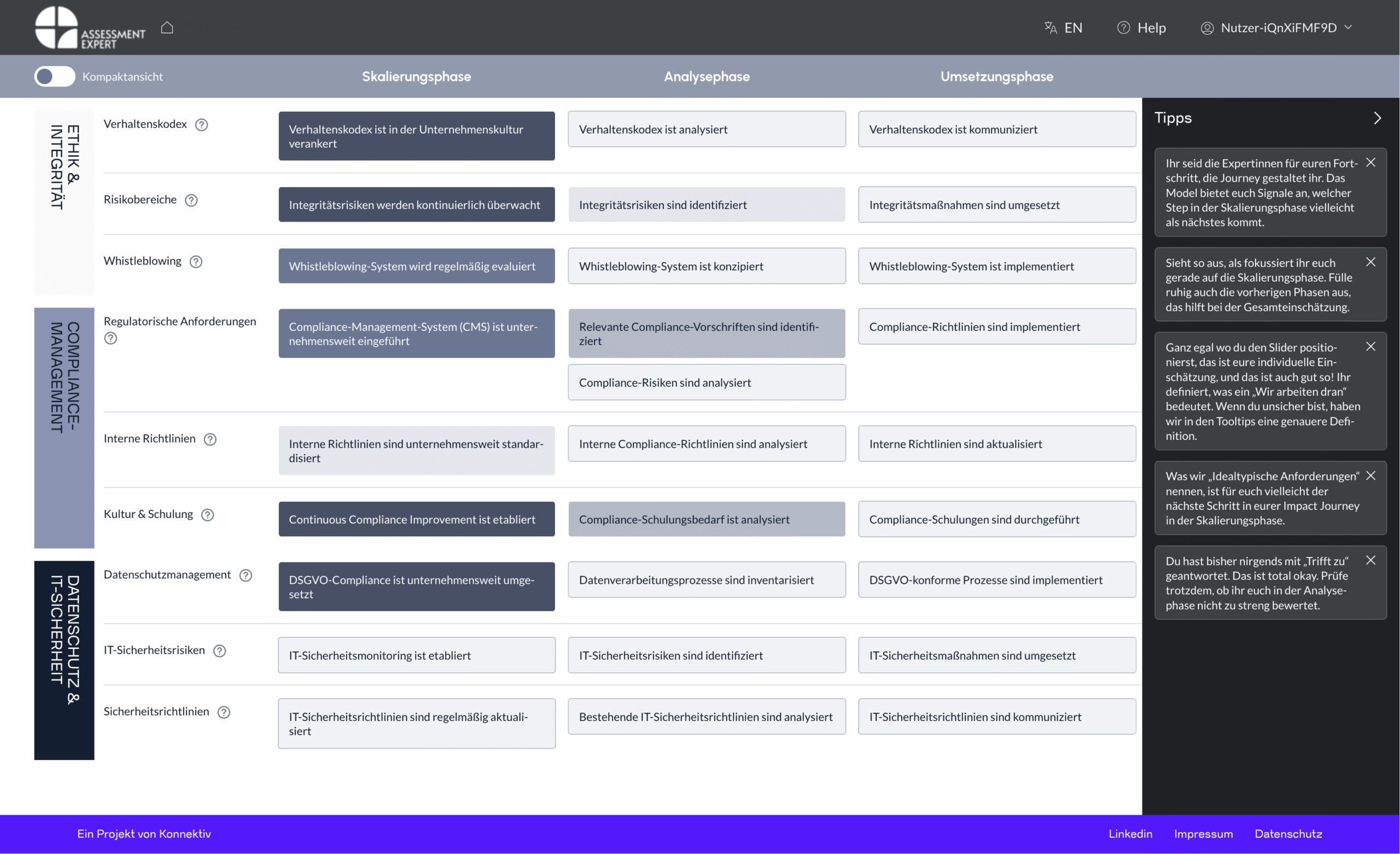 Assesment Expert mit ausgewählten Feldern zur Abfrage